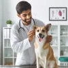 Essential Pet Care: Ensuring the Well-being of Your Canine Companion