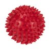 AmazonBasics Non Toxic Rubber Spiked Ball | Chew Toy fo…