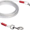 AmazonBasics Tie-Out Cable/Leash for Dogs up to 41 Kg, …