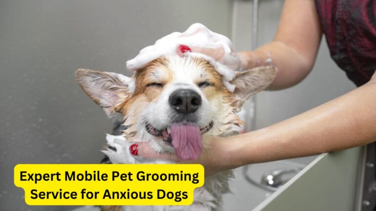 Dog Grooming