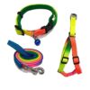 Dog Trust Colourful Adjustable Nylon Puppy Leash Harnes…