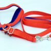 Dogista Pet Products Dog MUKHMAL Leash Harness Set 0.75…