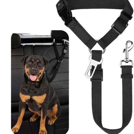 dog accessories