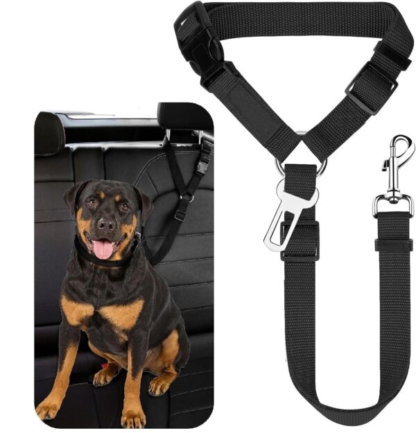 dog accessories