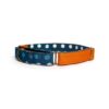 PetWale Orange Fabric Dog Martingale Collar | Comfy & S…