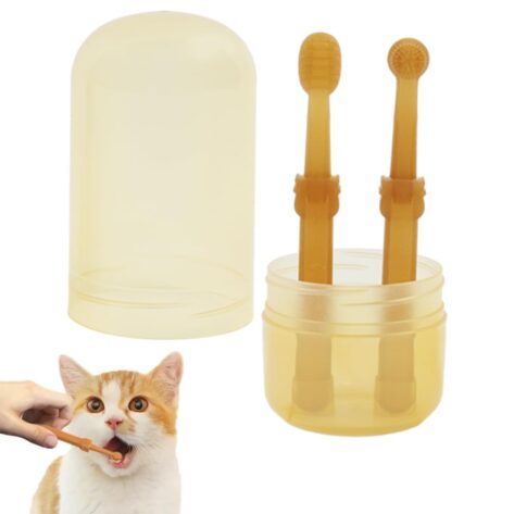 cat accessories