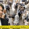 Ratan Tata’s Influence on India’s Animal Welfare Transformation – Ratan Tata