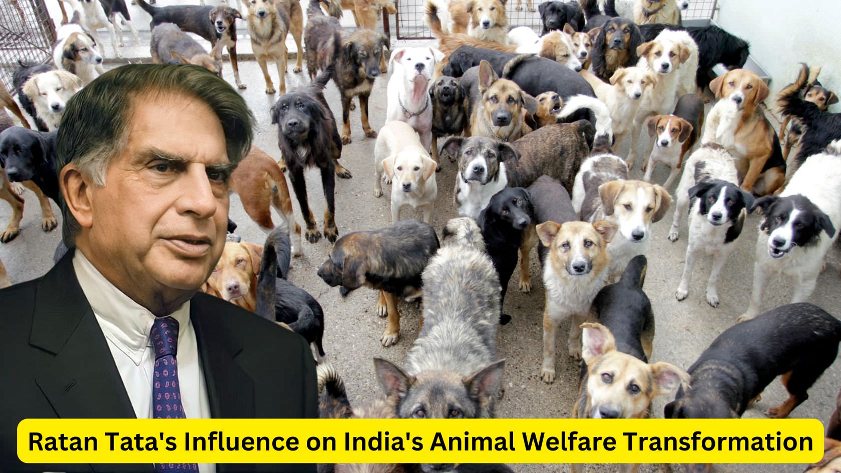 Ratan Tata - Animal Wellfare