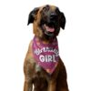 TheYaYaCafe Printed Dog Bandana, Quirky Dog Bandanas Gi…