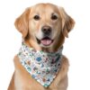 W Brings Birthday Special Dog Bandana/Scarf This Stunni…