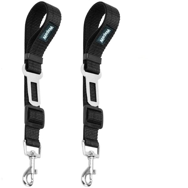 dog harness and leash