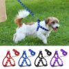 Woofy Nylon Adjustable Leash with Harness Set Printed N…