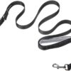 amazon basics Double Handle Light Reflecting Dog Leash,…