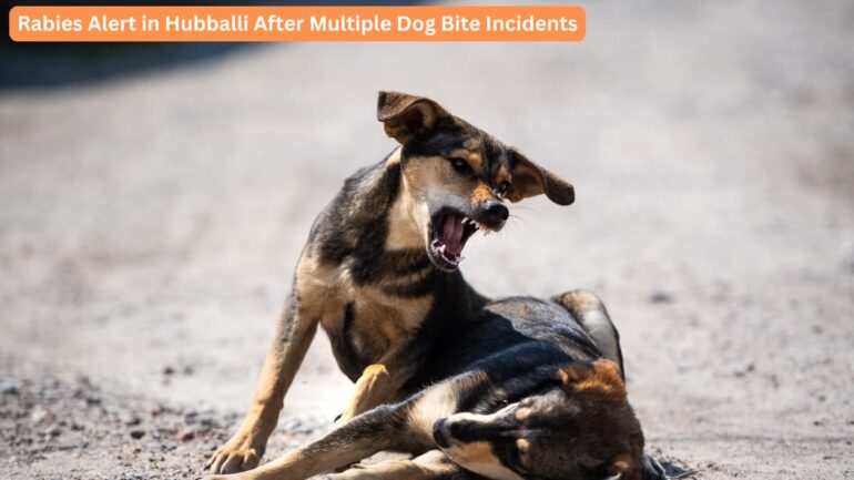 Rabies Alert in Hubballi After Multiple Dog Bite Incidents - Rabies dog attack