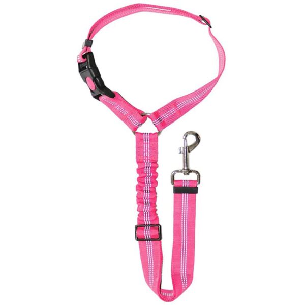 dog harness and leash