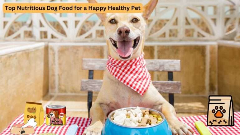 Top Nutritious Best Dog Food for a Happy Healthy Pet