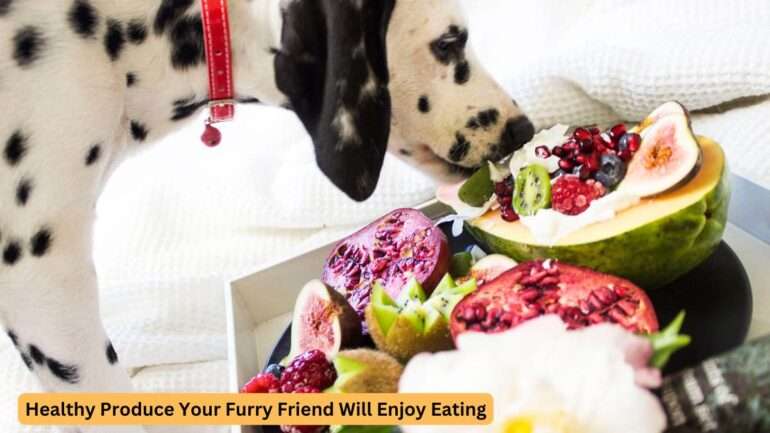 Dog-friendly fruits