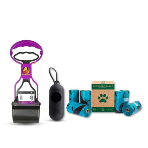 dog harness and leash