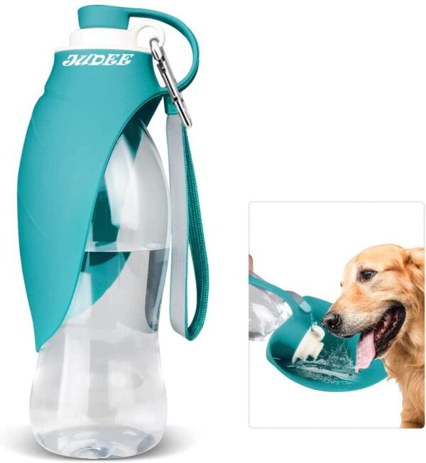 dog harness and leash