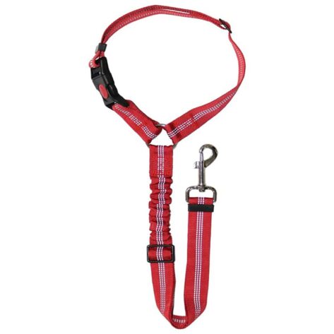 dog harness and leash