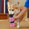 RETSPHIX Dog Water Bottle, 18 OZ Leak Proof Portable Do…