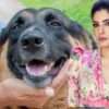 Raveena Tandon Embraces Abandoned Pup in Heartwarming Adoption Story – Raveena Tandon adopts dog