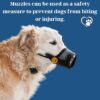 Sage Square Net Muzzle Dog – Secure & Breathable Dog Mu…