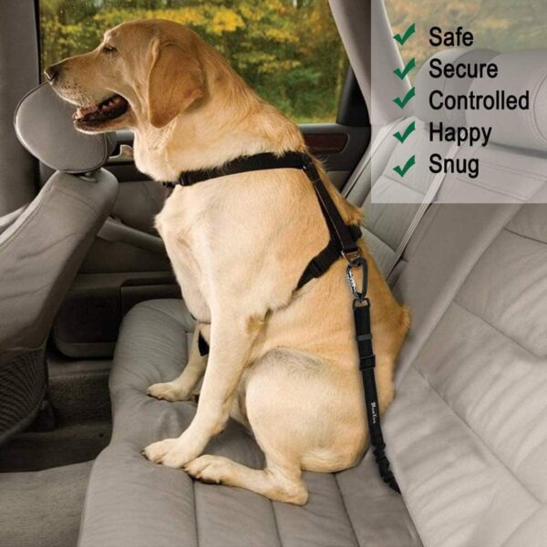 Jumix Dog Seat Belt for Dogs in Car - Adjustable Dog Ca... - Image 5