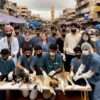 Chikkaballapur Begins Street Dog Sterilisation Program After Delay – Street dog sterilisation