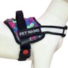 Payton Perry Customized Dog Harness | Print Your Pet Na…