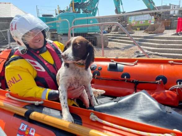 Porthcawl RNLI dog rescue